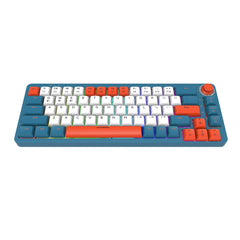 Custom Mechanical Gaming Keyboard 67 Keys RGB Switch Hot Swappable With Rotate Button