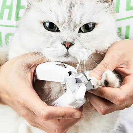 Cat Nail clipper With Front led lights