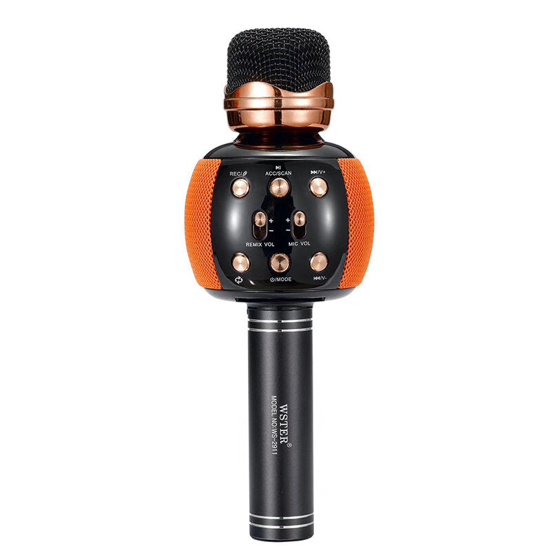 Bluetooth Microphone Speaker FM Radio TF Card HD Soundbar Mic 1200mAh Protable Wireless Karaoke Singing Player